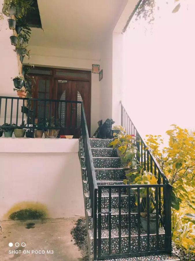 La Rose Guest House ヌワラ・エリヤ エクステリア 写真