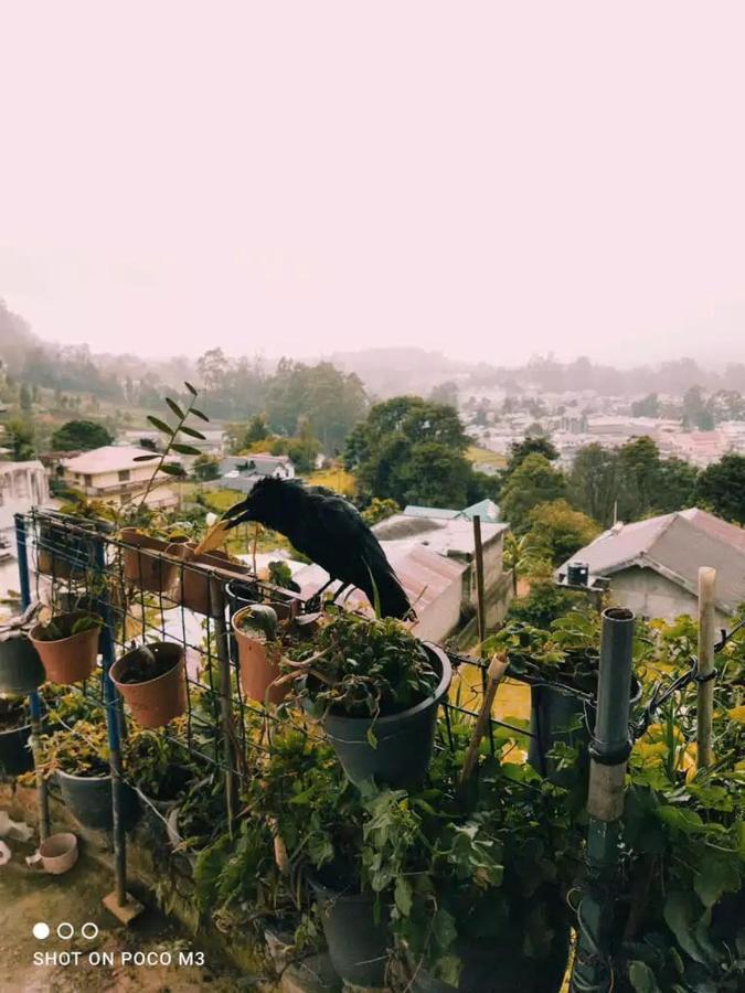 La Rose Guest House ヌワラ・エリヤ エクステリア 写真